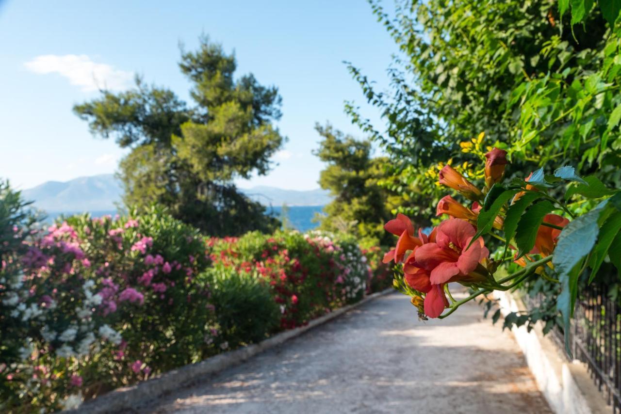 Iliochari Sea View Apartments Oropos - Kalamos Exterior photo