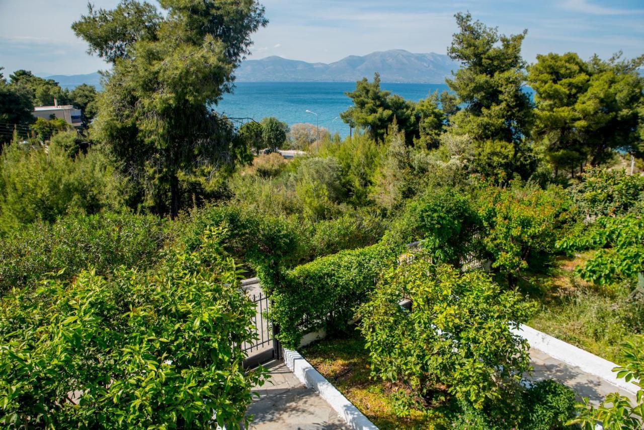 Iliochari Sea View Apartments Oropos - Kalamos Exterior photo