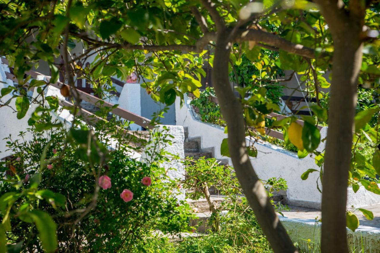 Iliochari Sea View Apartments Oropos - Kalamos Exterior photo